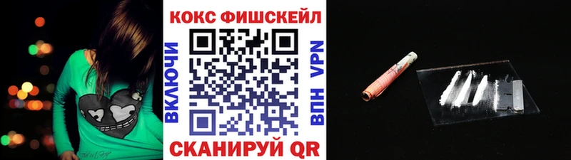 Cocaine Fish Scale  мега онион  Карачаевск 