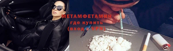 ПСИЛОЦИБИНОВЫЕ ГРИБЫ Осинники
