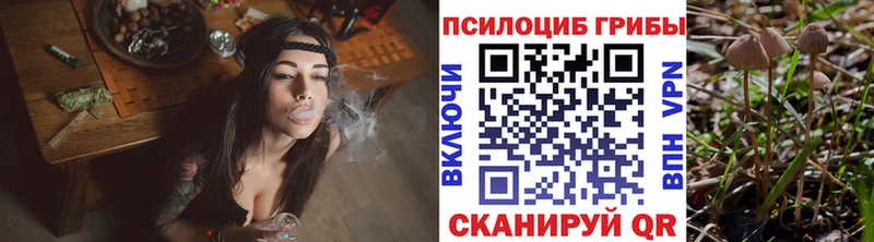 даркнет сайт  ОМГ ОМГ tor  Псилоцибиновые грибы Psilocybine cubensis  Карачаевск 